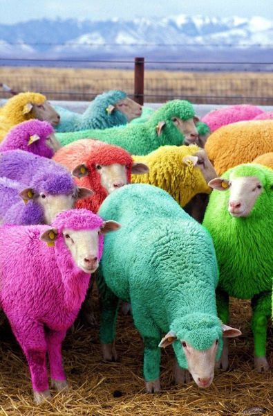Morning Picdump