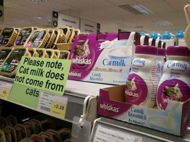 Even Work Has Its Amusing Moments