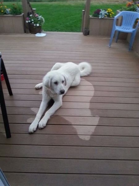 Morning Picdump