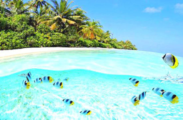 It Doesn’t Get Better Than the Idyllic Island Life