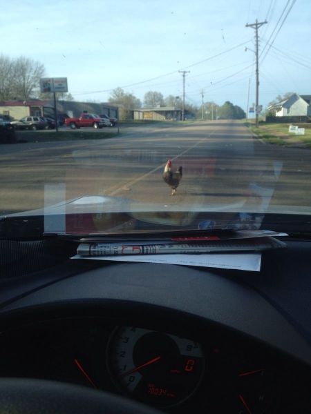 Morning Picdump