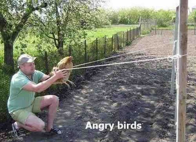 Morning Picdump