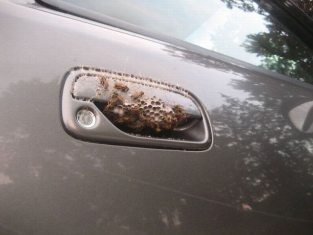 Morning Picdump