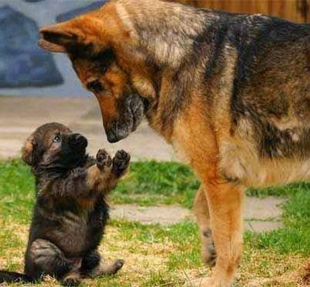 Morning Picdump