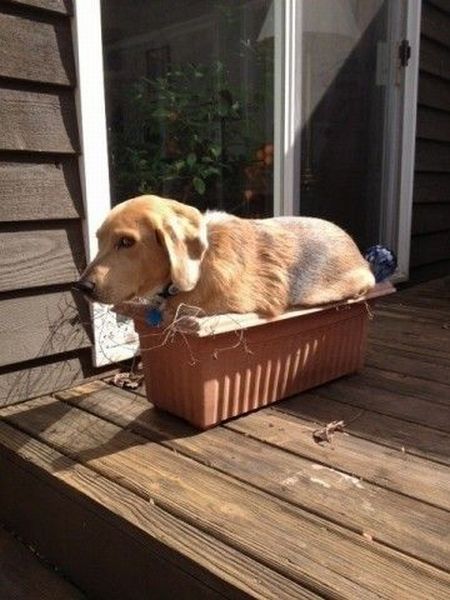 Morning Picdump