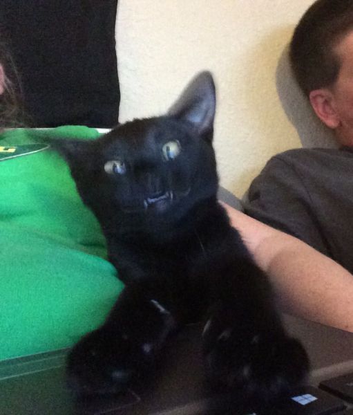 Morning Picdump