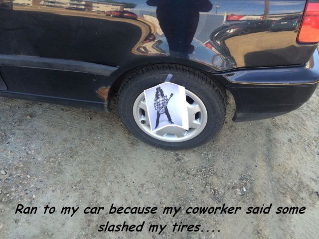 Morning Picdump