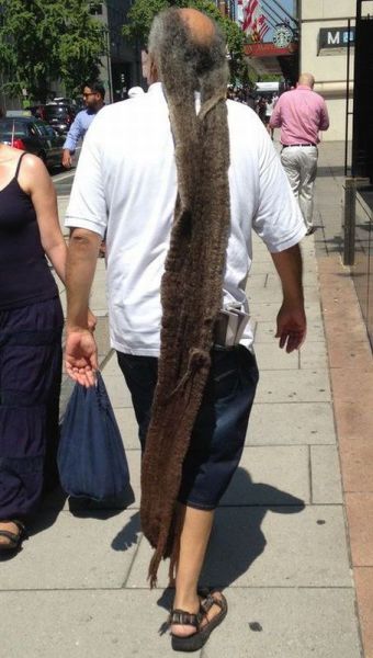 Morning Picdump