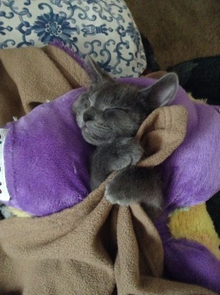 Morning Picdump