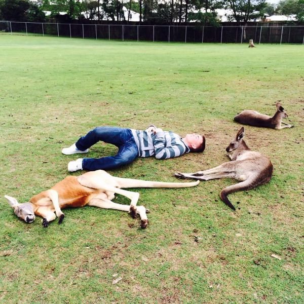 Morning Picdump