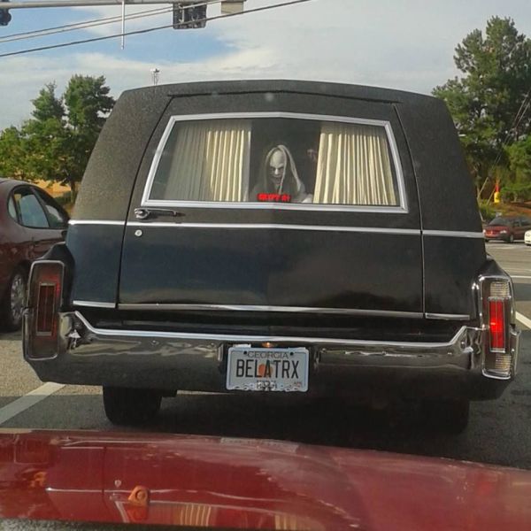 Morning Picdump