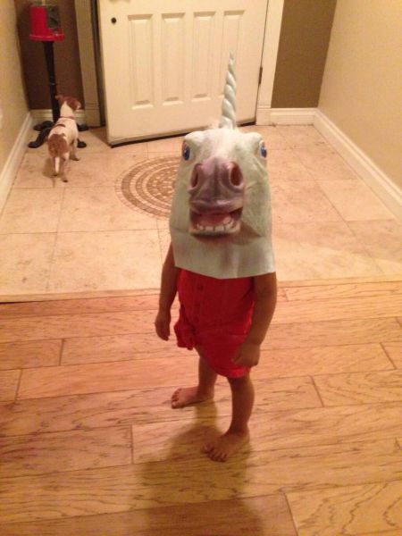 Morning Picdump