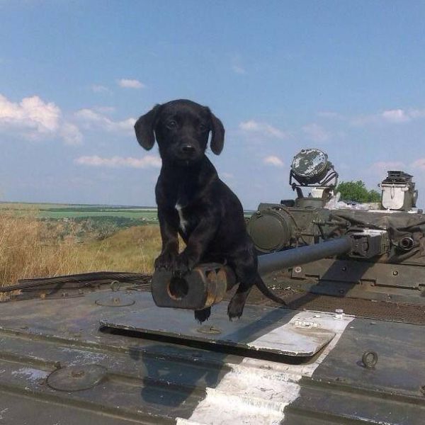 Morning Picdump