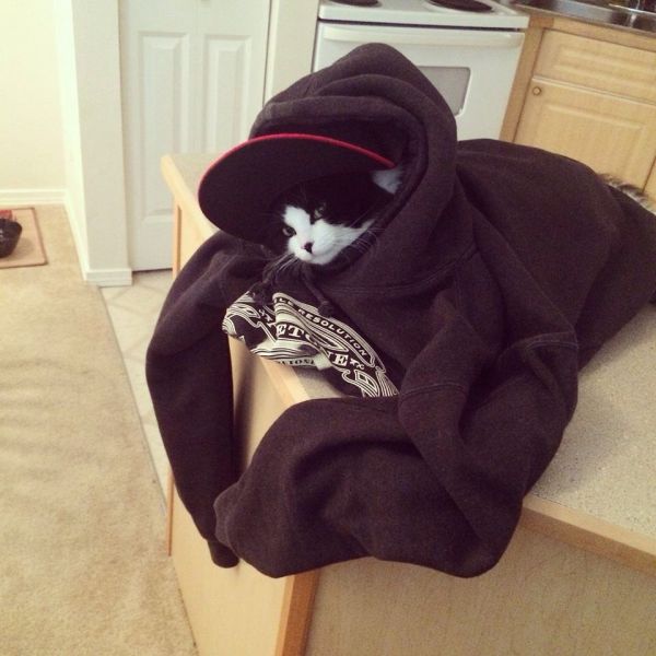Morning Picdump