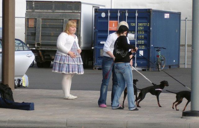 Morning Picdump