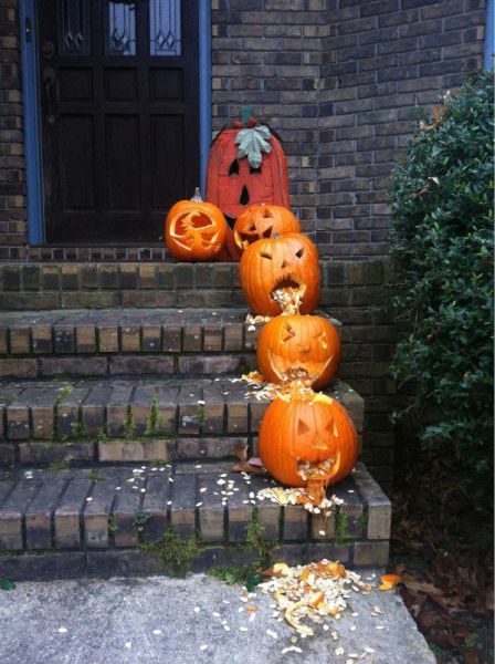 Morning Picdump