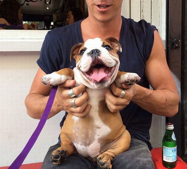 Morning Picdump