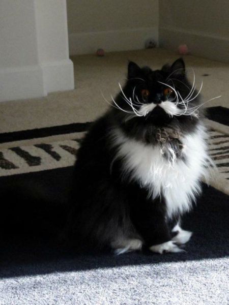 Daily Picdump