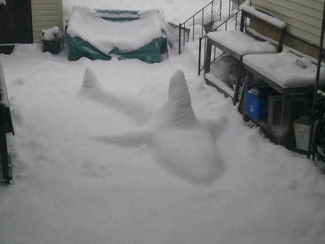 Morning Picdump