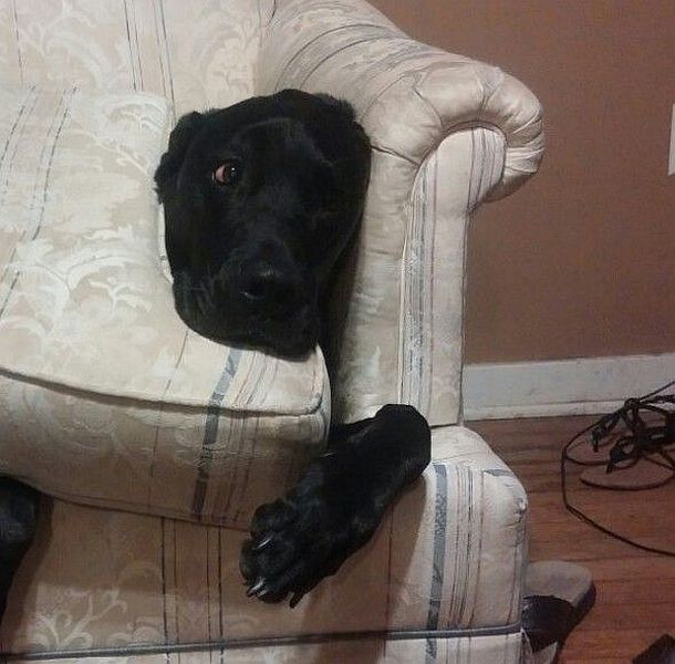 Daily Picdump