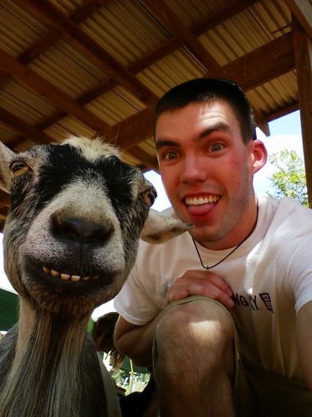 Daily Picdump
