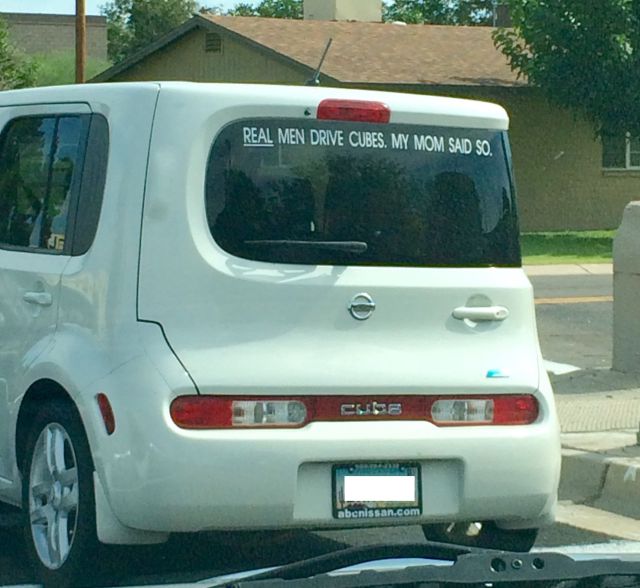 Daily Picdump