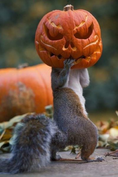 Daily Picdump