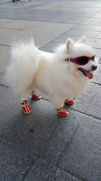 Morning Picdump
