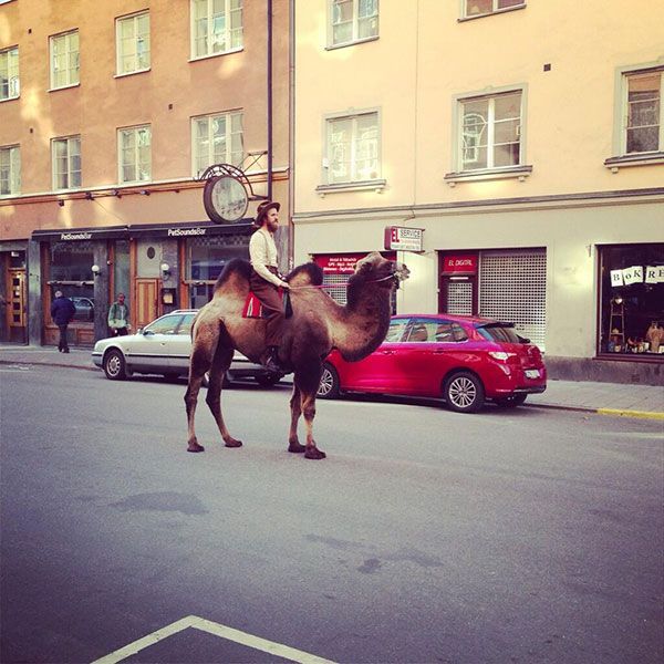 Morning Picdump