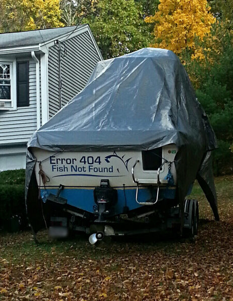 Morning Picdump