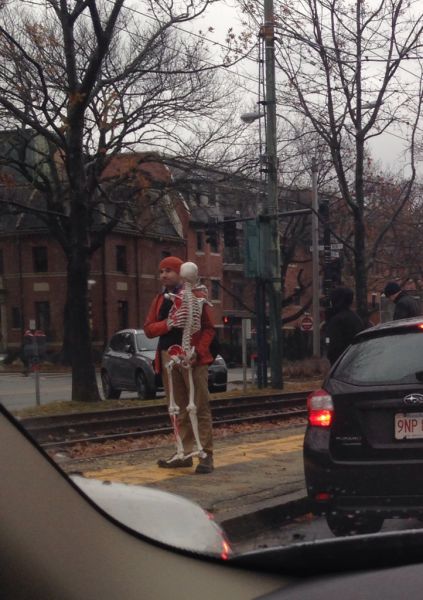 Morning Picdump