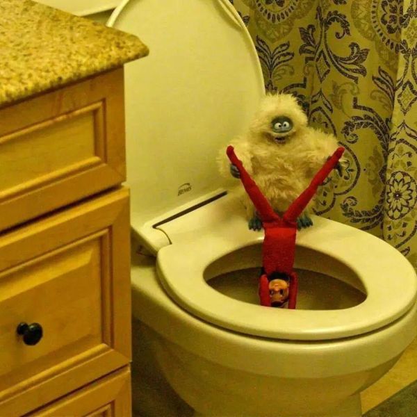 Daily Picdump