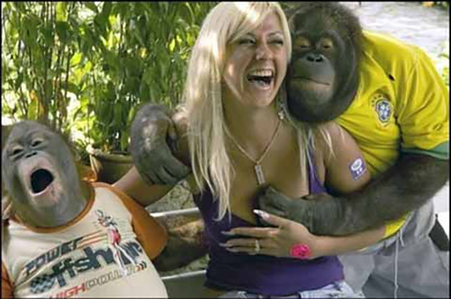 Morning Picdump