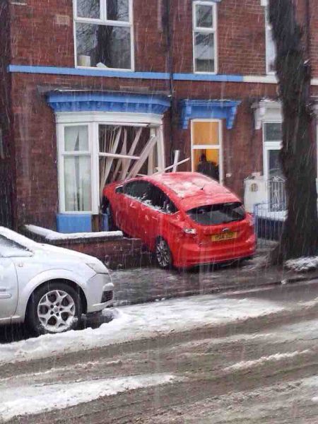 Morning Picdump