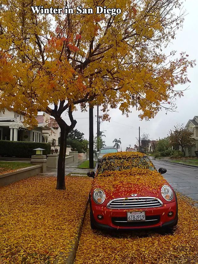Morning Picdump