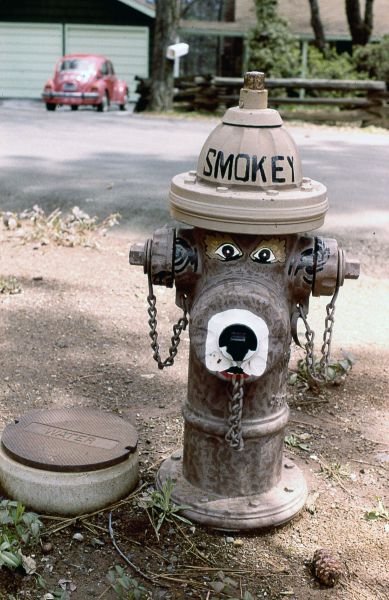 Morning Picdump