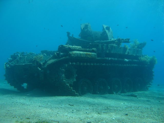 Stuff Just Looks So Much Scarier Underwater