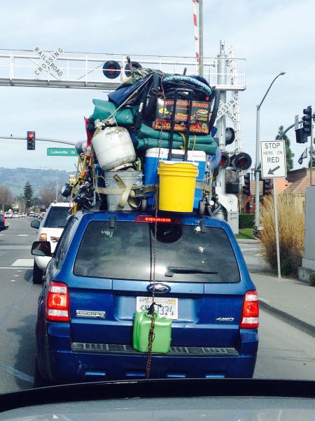 Morning Picdump