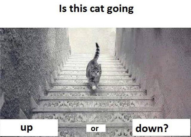 Funny Picdump