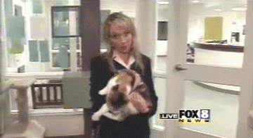 Hilarious GIFs of the Oddest Things Ever Seen on the Morning News