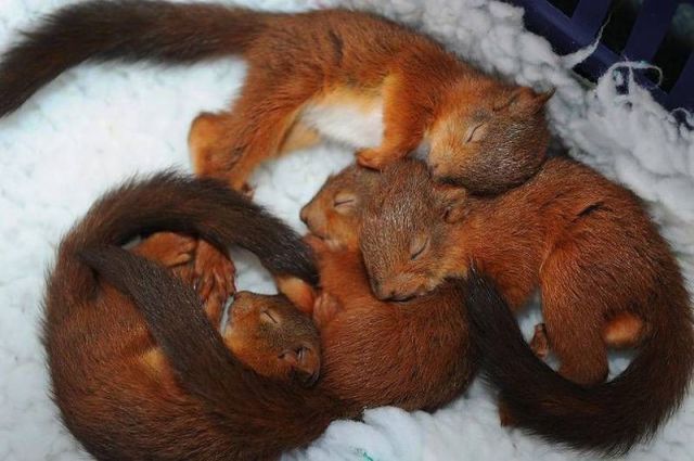 Daily Picdump