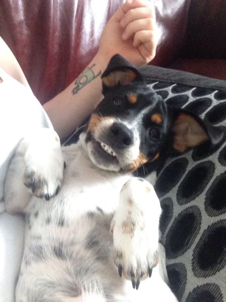 Morning Picdump