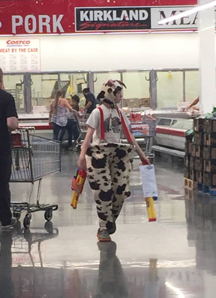 Morning Picdump