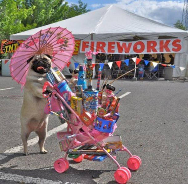 Happy Fourth of July!