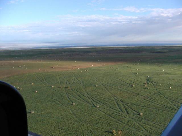 When Wind Is a Total Jerk