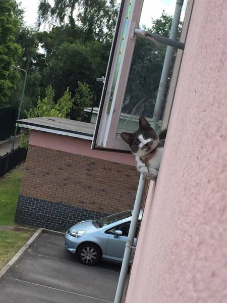 Morning Picdump