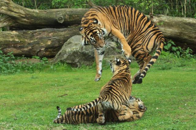 Morning Picdump