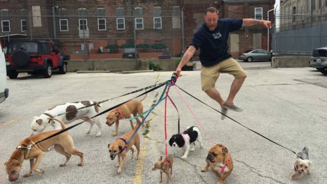 Morning Picdump