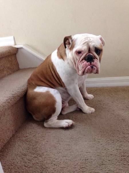 Morning Picdump