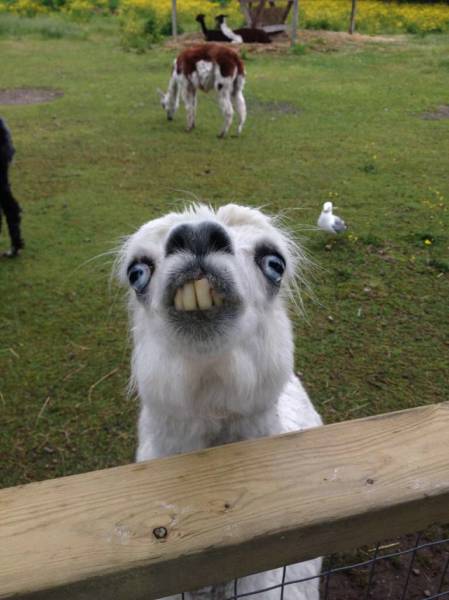 Morning Picdump